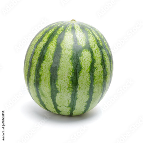 Single green striped watermelon