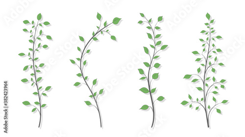 Drawing of isolated different branches with green leaves on a white background