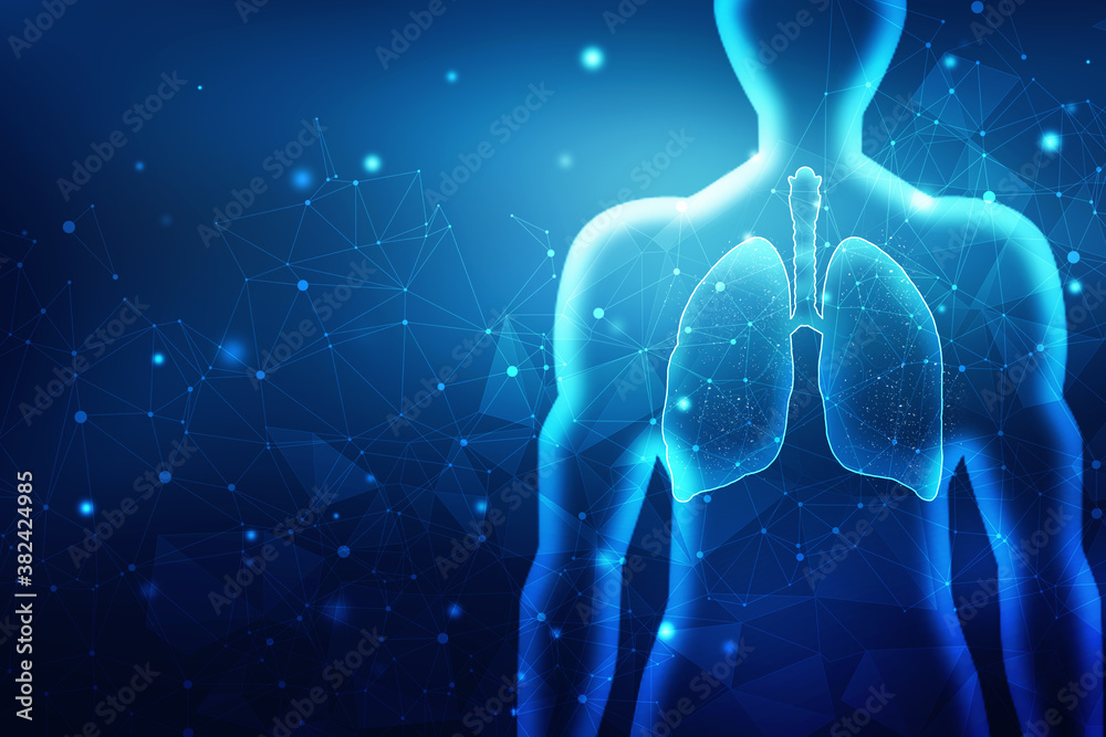 2d illustration Human Male Muscle Body