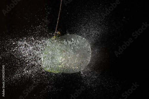 Splashes waterballoon bursting against black background and in a galaxy of water drops closeups © Irina