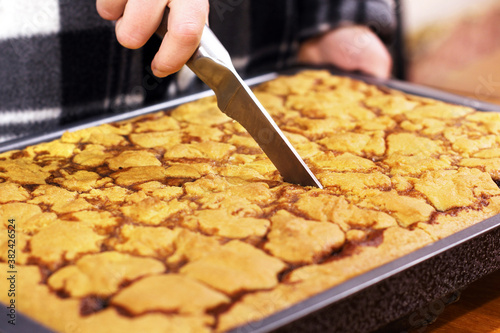 The hand is cutting the cake. Cake on a baking sheet