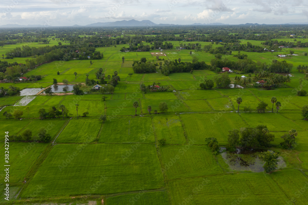 beautiful but unfocussed green grass after rain with dark cloudy sky green ricefield isolated in the island pangandaran . Scenic view of green ricefields in the Cambodia beautiful but unfocussed green grass after rain with dark cloudy sky green ricefield isolated in the island pangandaran . Scenic view of green ricefields in the Cambodia