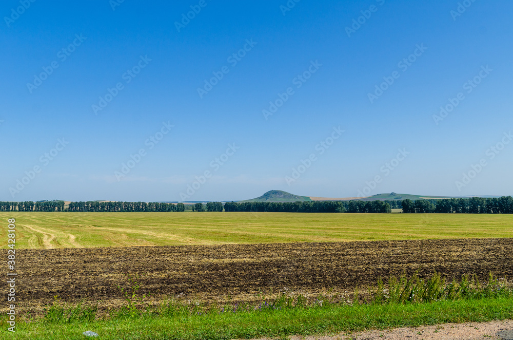 Bright paint fields on which the harvest is sung Bright paint fields on which the harvest is sung