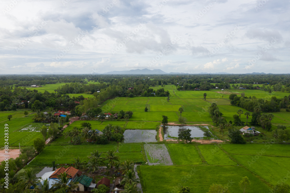 Obraz premium beautiful but unfocussed green grass after rain with dark cloudy sky green ricefield isolated in the island pangandaran . Scenic view of green ricefields in the Cambodia