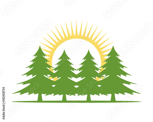 Forest tree with sunrise