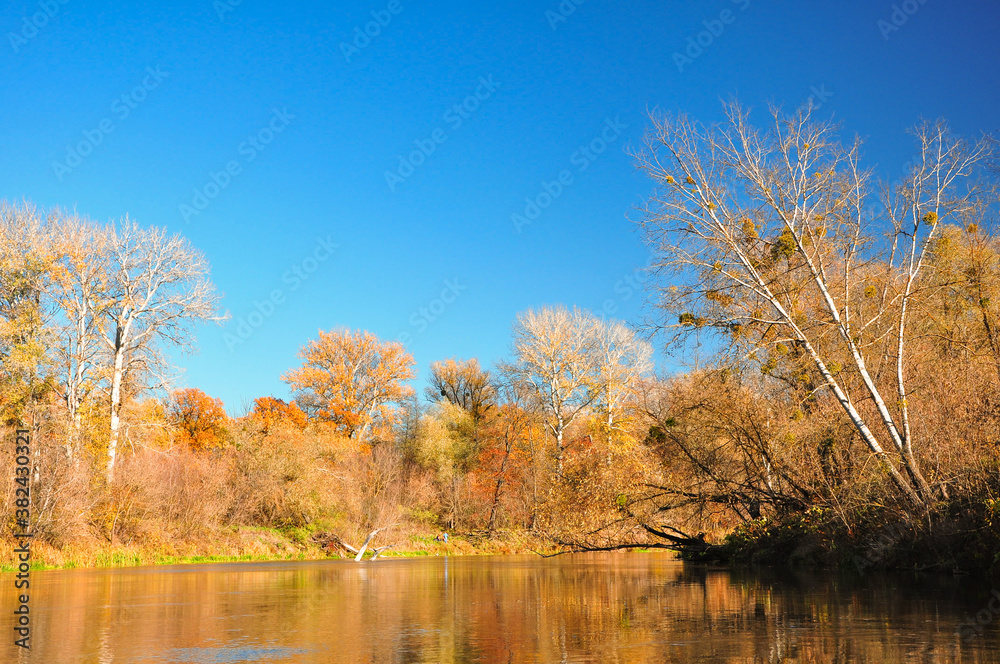 Misty Jungle. Orange Autumn Panorama. Golden Hazy Forest. Yellow Bright Mountainscape. Gold Forest Landscape. Autumn Tree. Amazing Landscape. Abstract Texture.