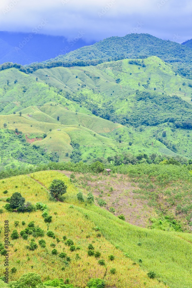 Mountain Landscape in Doi Phu Kha National Park, Nan Province, Thailand