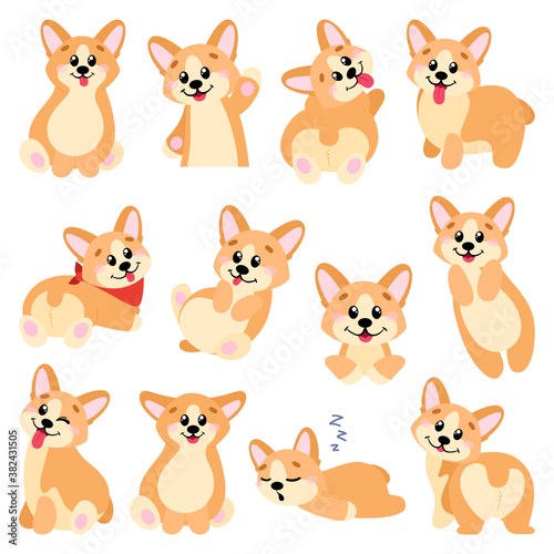 Big set of welsh corgi in cartoon and hand drawn style. Collection of dog characters, flat illustration for design, decor, print, stickers, posters. Vector illustration isolated on a white background.