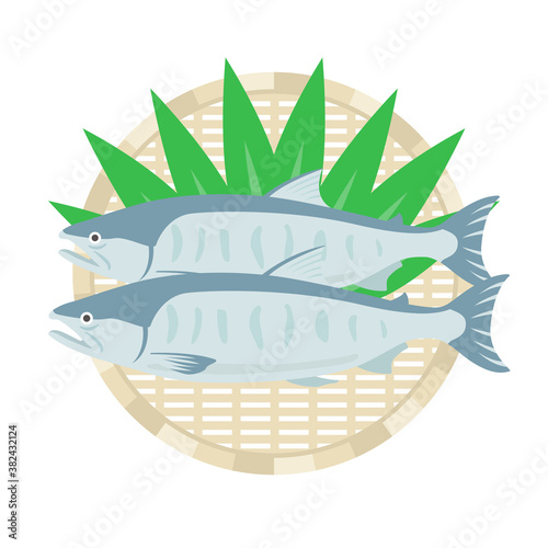ザルにのせた鮭のイラスト