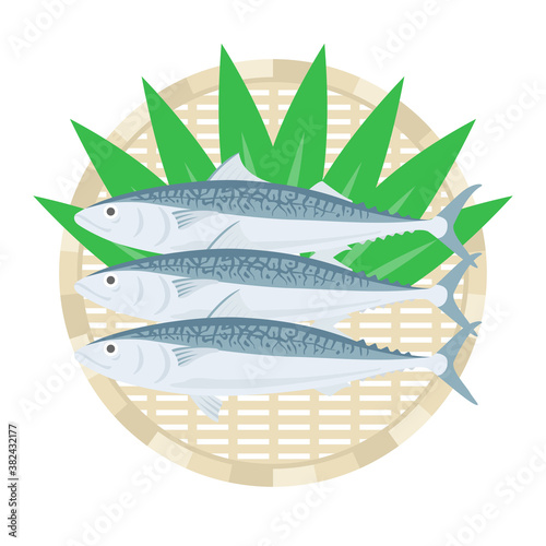 ザルにのせた鯖のイラスト