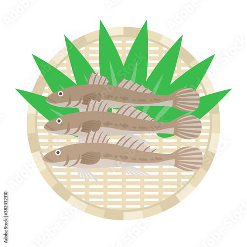 ザルにのせたハゼのイラスト