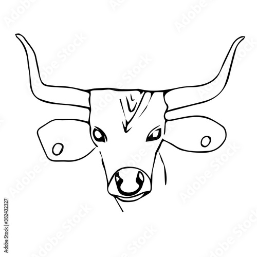 Vector illustration.Year Of The Bull 2021.Cute unusual steers. Illustration for New year and Christmas. The ball is the symbol of 2021.isolated on a white background