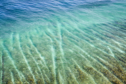Tropical Reefs