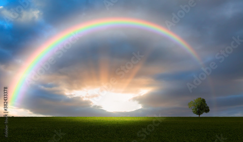 Beautiful landscape with green grass field and lone tree in the background amazing rainbow