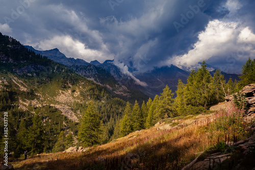 autumn in the mountains