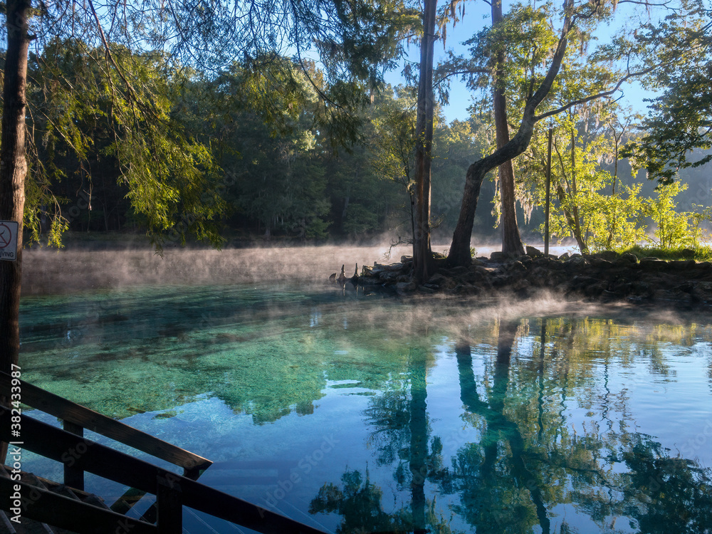 Naklejka premium Early Morning at Ginnie Springs on the Santa Fe River, Florida