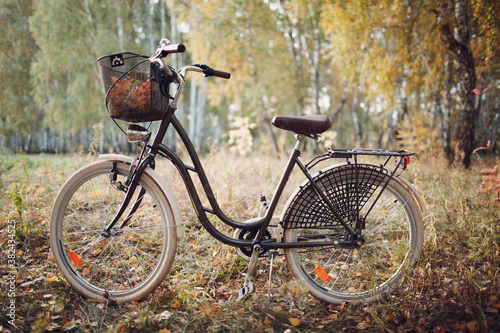 Vintage woman bicycle with basket in autumn park