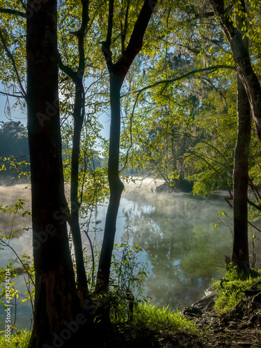 Early Morning at Ginnie Springs on the Santa Fe River  Florida