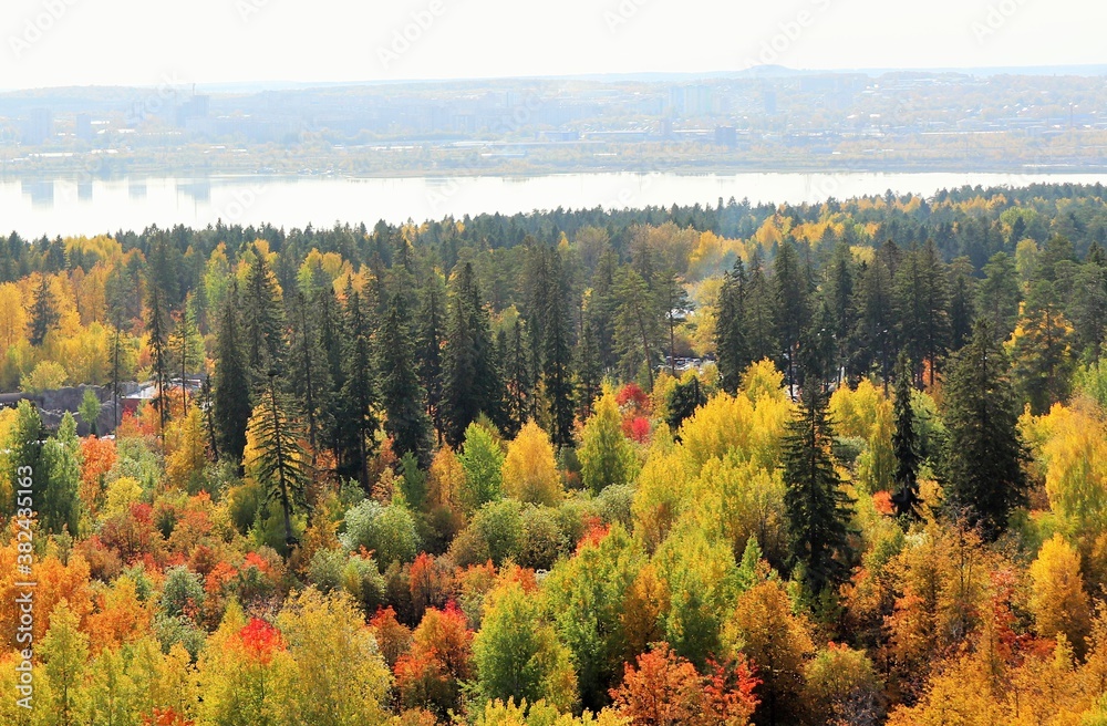 Bright autumn trees in a nature park Bright autumn trees in a nature park