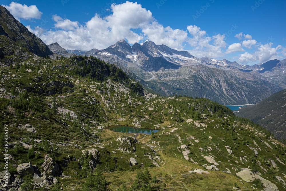 alpine landscape