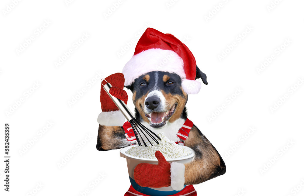 Christmas dog bakes for christmas