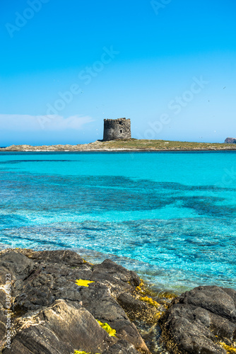 torre la Pelosa
