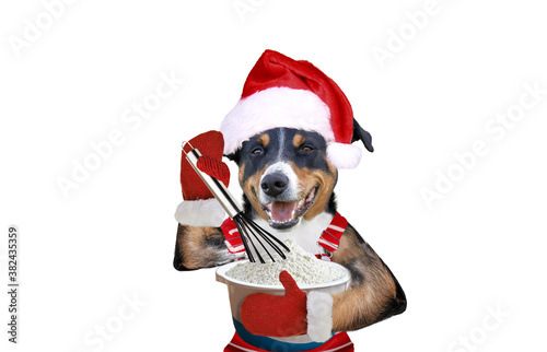 Christmas dog bakes for christmas © Vince Scherer 