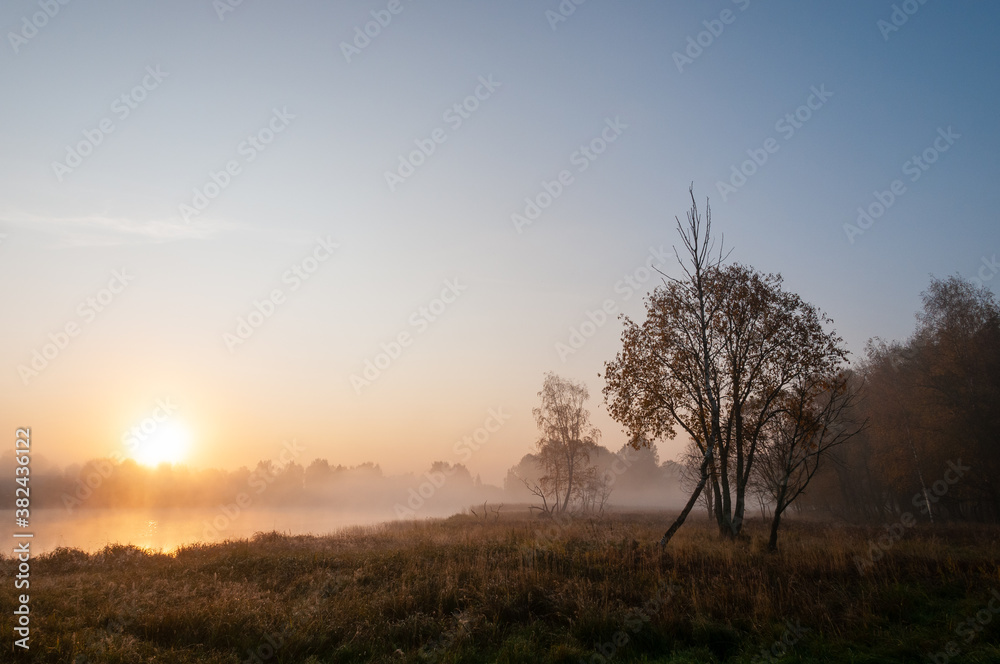 Landscape with a view of dawn, fog, lake