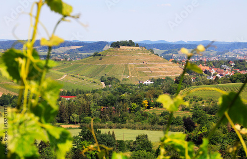 The Castle Weibertreu in Weinsberg. View from the Wartberg Heilbronn in Baden-Württemberg, Germany photo