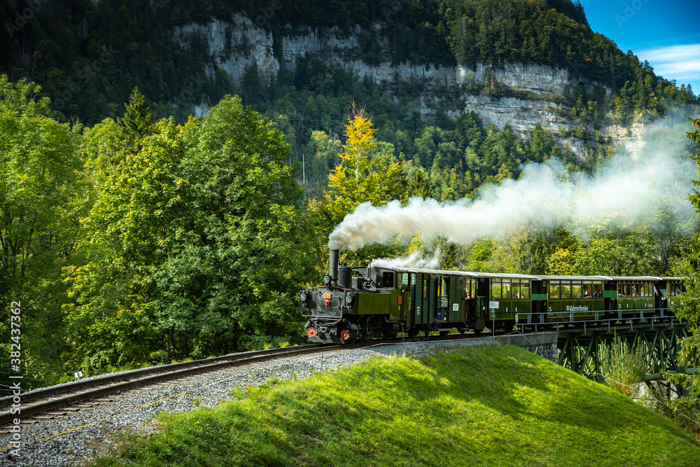 Naklejka premium Dampflock in grün