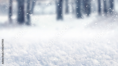 Abstract winter background with snow and blurred trees during snowfall
