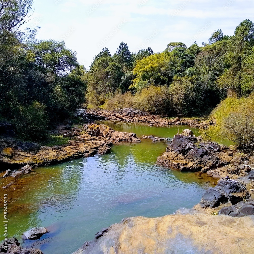 Fototapeta premium river in the forest