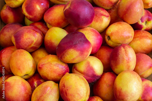Bright nectarines in the market. Nectarines closeup background. Image with selective focus