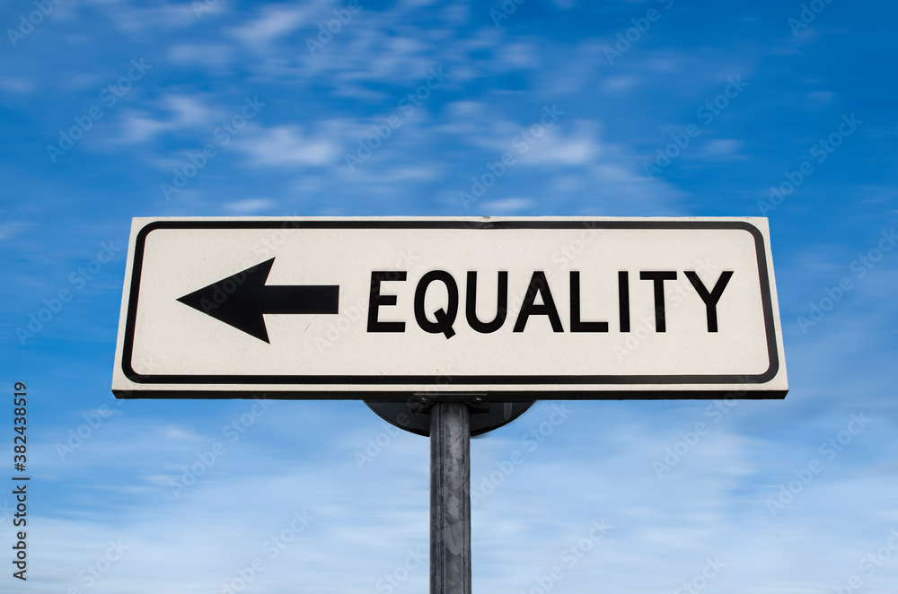 Equality road sign, arrow on blue sky background. One way blank road sign with copy space. Arrow on a pole pointing in one direction. Equality road sign, arrow on blue sky background. One way blank road sign with copy space. Arrow on a pole pointing in one direction.