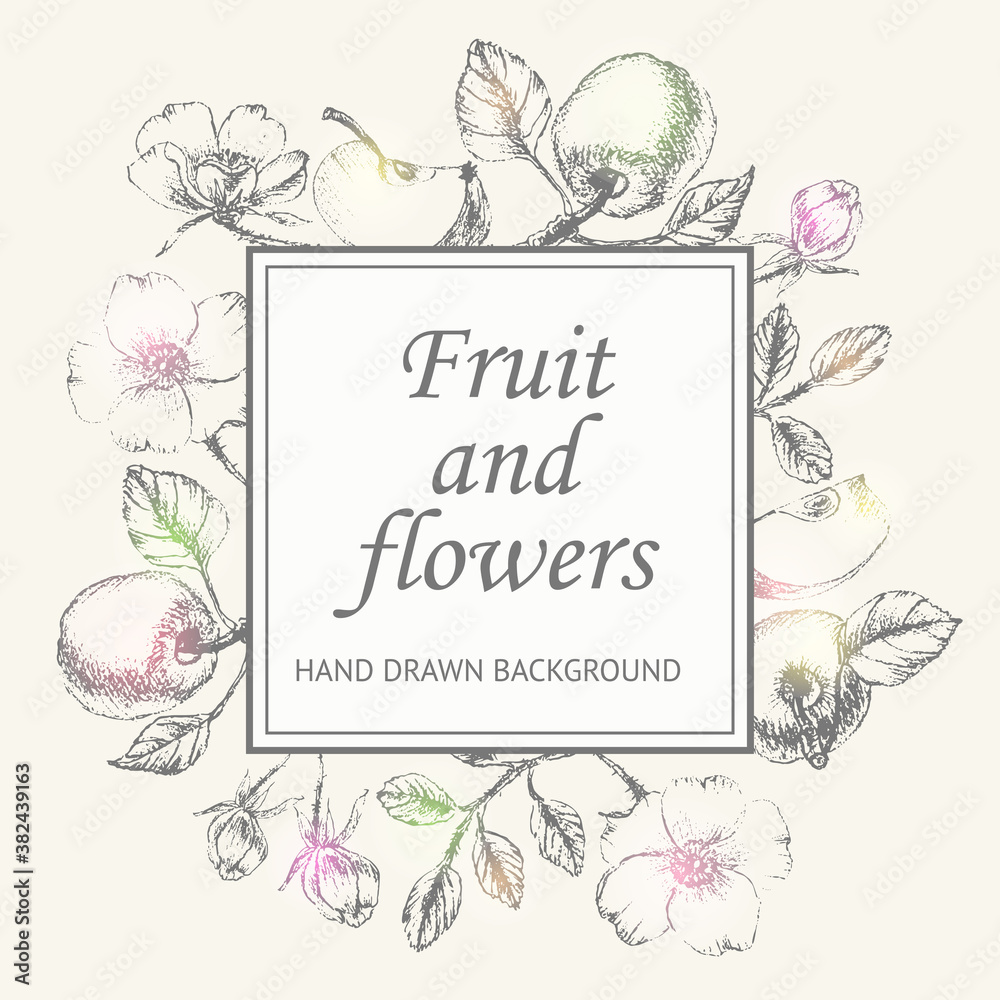 Fruit and flower sketched square frame