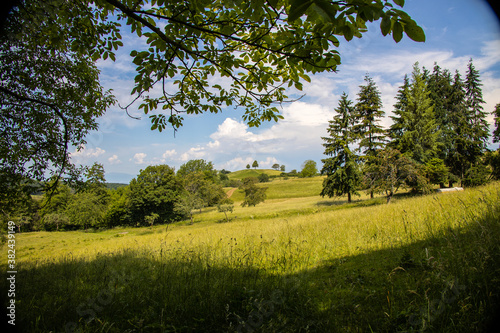 Markgräflerland_3183