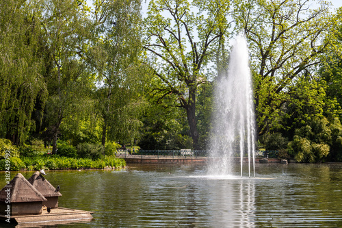 Water fountain in the park Warmer Damm in Wiesbaden