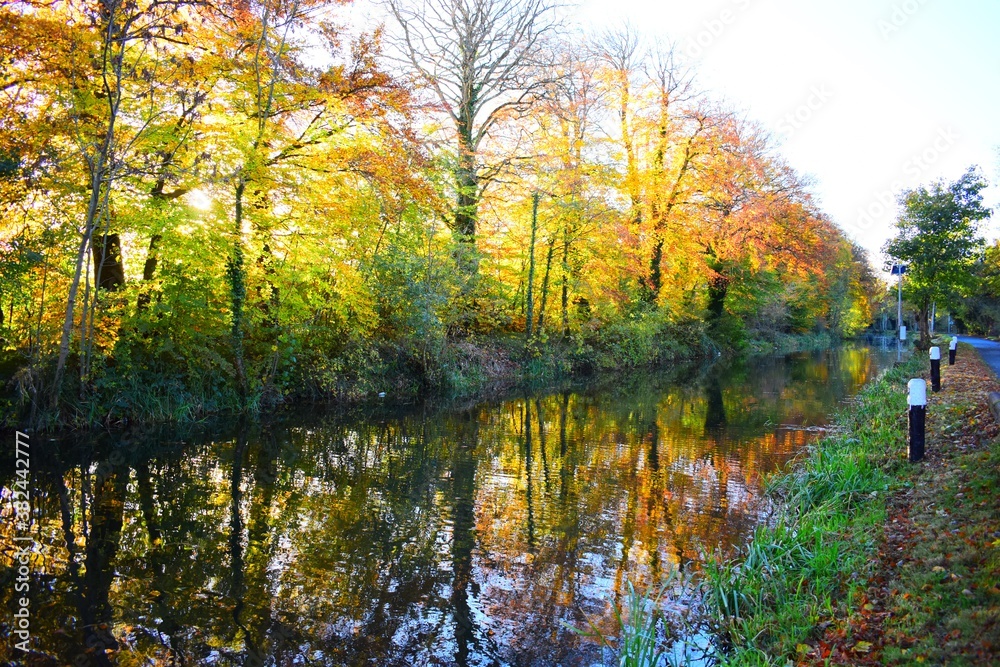 Beautiful Autumn Colors at Irish Canal