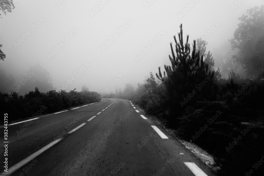 nice black and white road in the fog