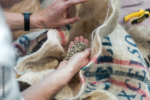 Εκτύπωση καμβά Coffee roaster selecting raw coffee seeds