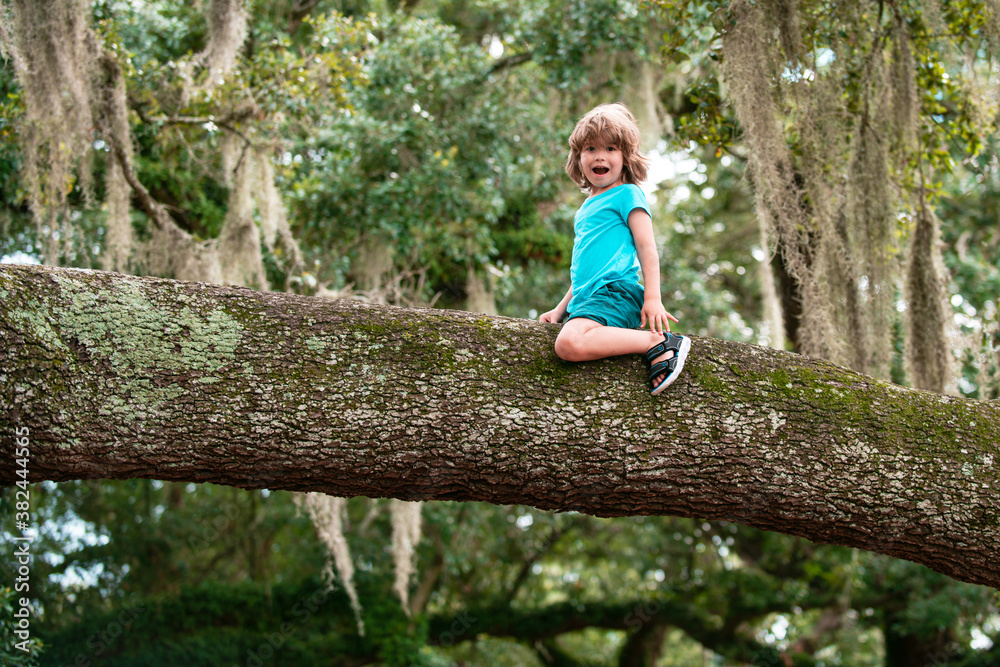 Insurance kids. Child sitting on tree branch. Cute kids boy climbing on the tree. Insurance kids. Child sitting on tree branch. Cute kids boy climbing on the tree.