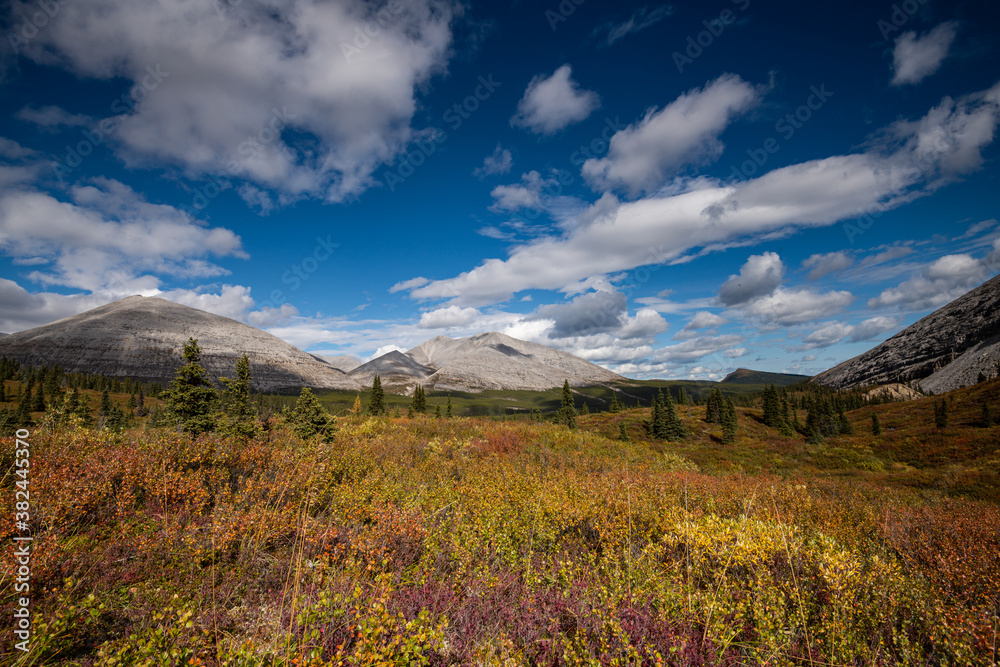 Autumn in the alpine Autumn in the alpine