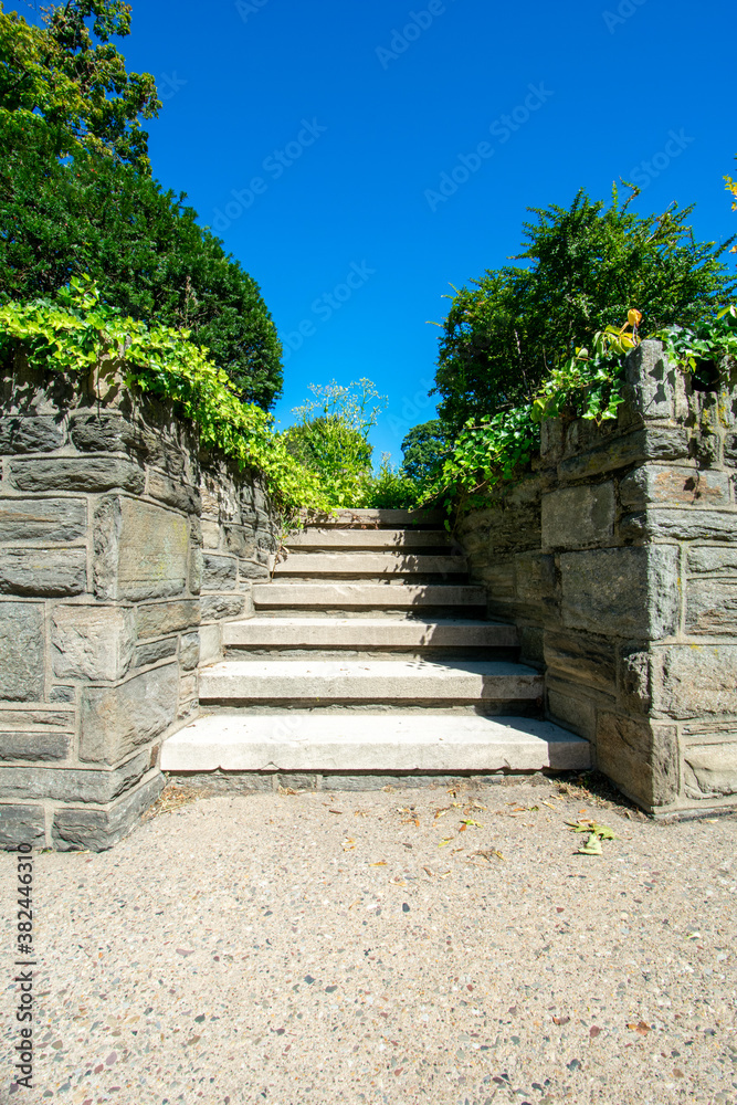 Cobblestone Steps With Overgrown Plants Surrounding Them