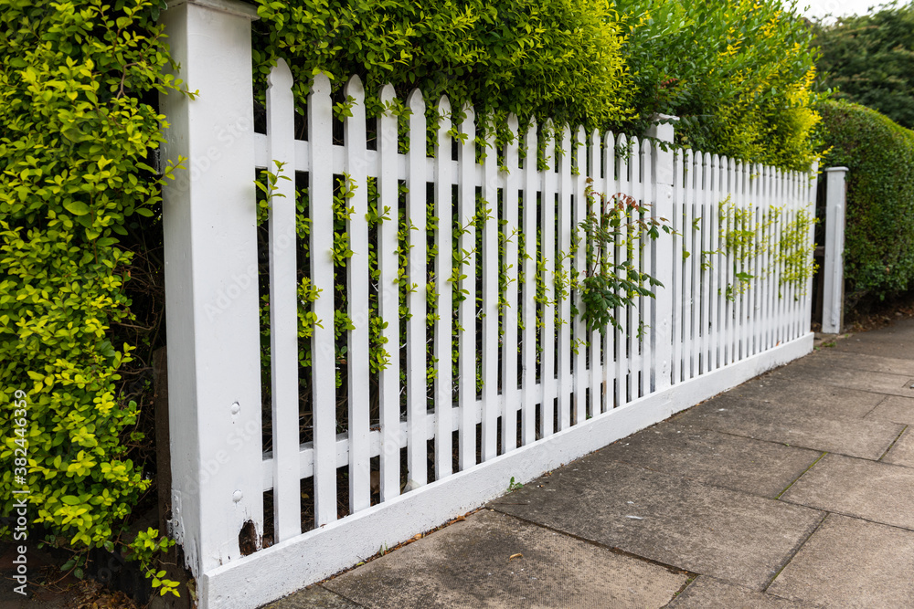 Fototapeta premium white fence and green grass