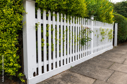 white fence and green grass