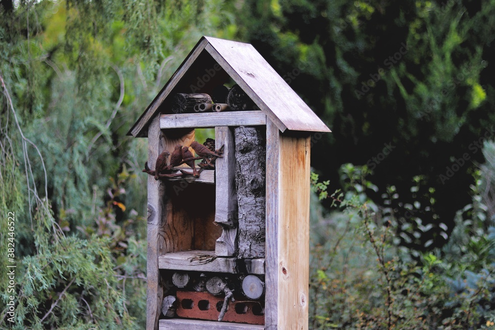 house in the woods