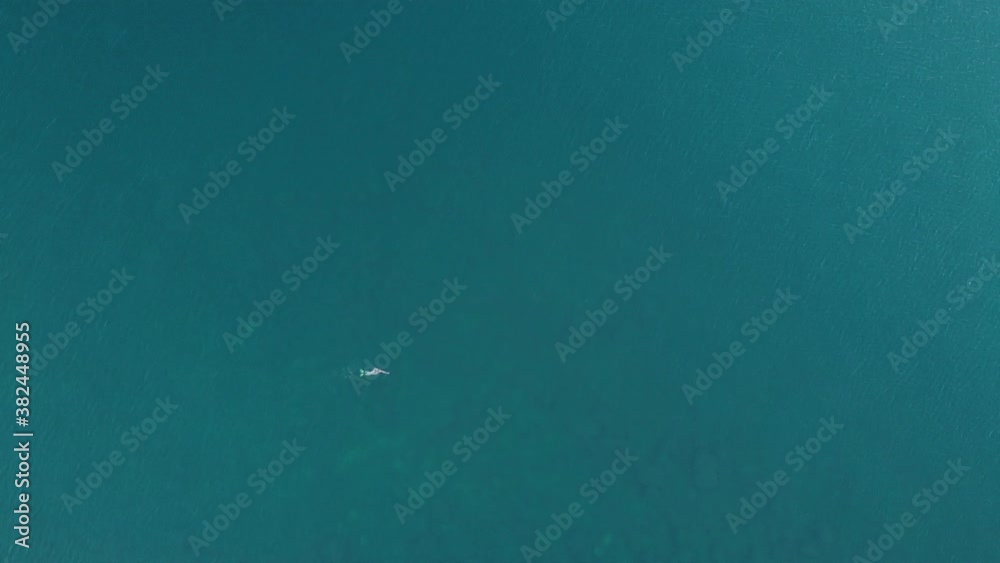 top view of a man floating on the sea