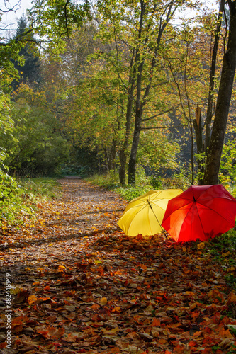 Autumn landscape with red and yellow umbrella © parsadanov