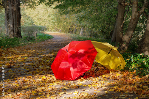 Fototapeta Naklejka Na Ścianę i Meble -  Autumn landscape with red and yellow umbrella