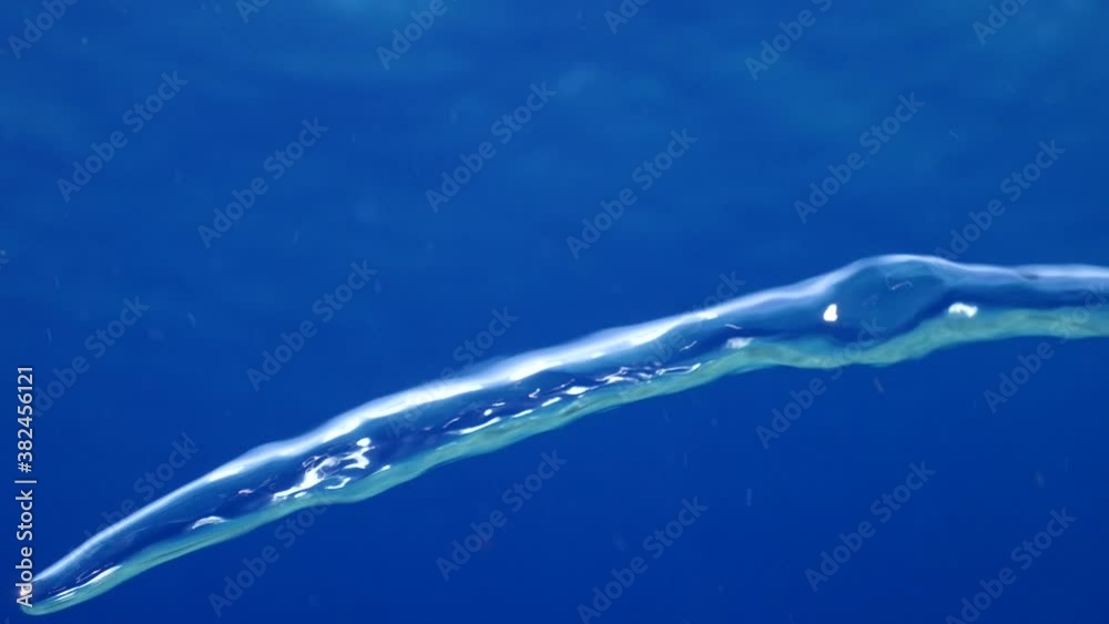 bubbles close up underwater some focused some defocused turning in ocean background scenery bubbles close up underwater some focused some defocused turning in ocean background scenery